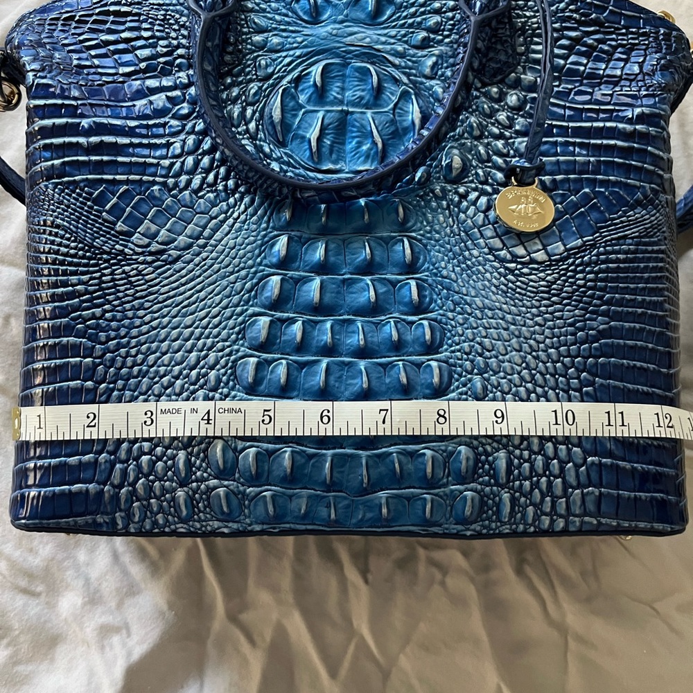 Gorgeous Brahmin Purse